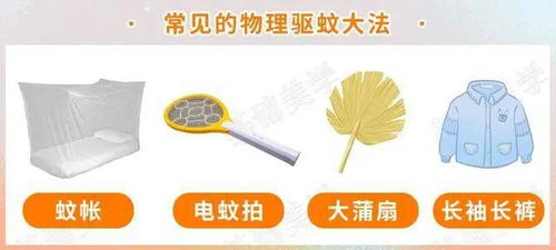 蚊子為何獨寵你？牙膏的妙用與防蚊科學