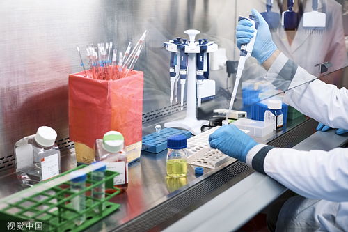 中國生物技術(shù)在癌癥早篩領(lǐng)域的技術(shù)研發(fā)與轉(zhuǎn)讓前景